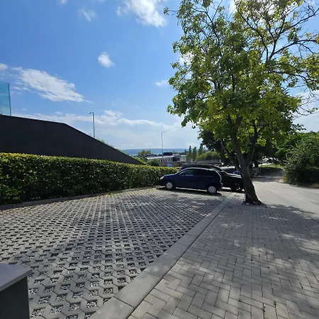 Lotus Hotel *